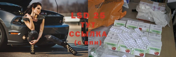 спиды Великий Новгород
