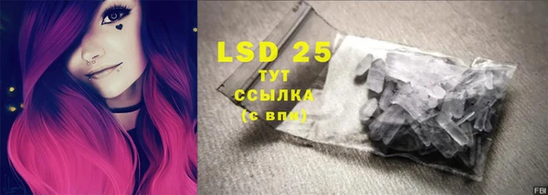 ПСИЛОЦИБИНОВЫЕ ГРИБЫ Майский