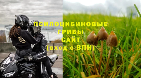 ALPHA PVP Магадан