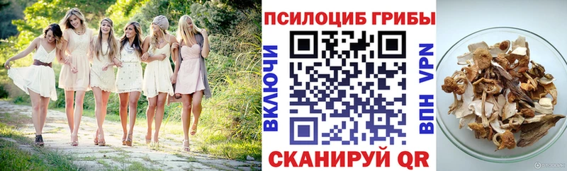 как найти   Монино  Псилоцибиновые грибы прущие грибы 